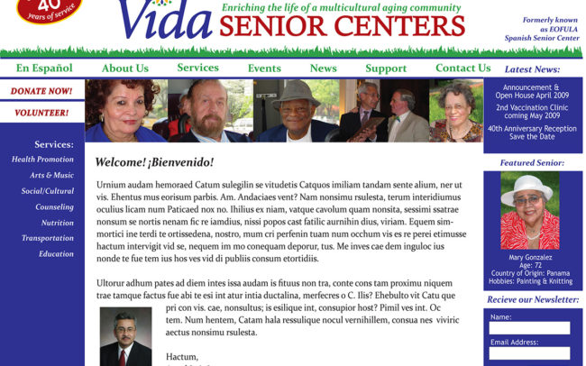 Vida homepage